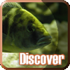 Discover: Aquarium