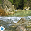 Wild River Jigsaw Puzzle